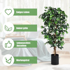 Wall Decor & Home Accessories