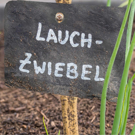10 Rustic plant signs in slate