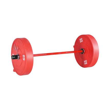 120cm Olympic Barbell, 2-Inch Sleeves, 500 lb Capacity