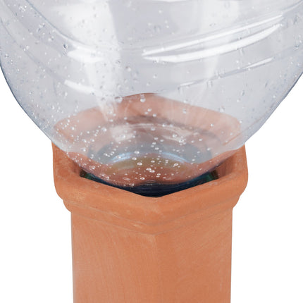 12-Pack Ceramic Plant Water Dispensers for Vacations