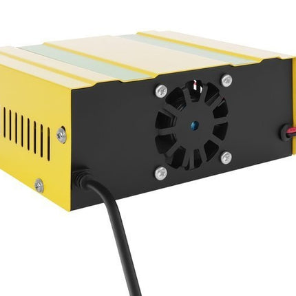 12V/24V battery charger