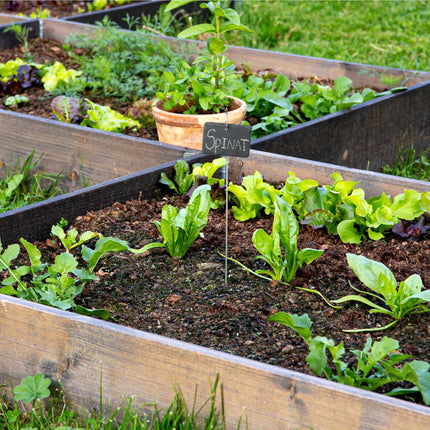 12 slate plant signs with stick