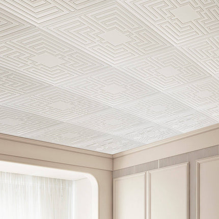 24x24 Drop Ceiling Tiles, PVC, White Echo, 12 Pack