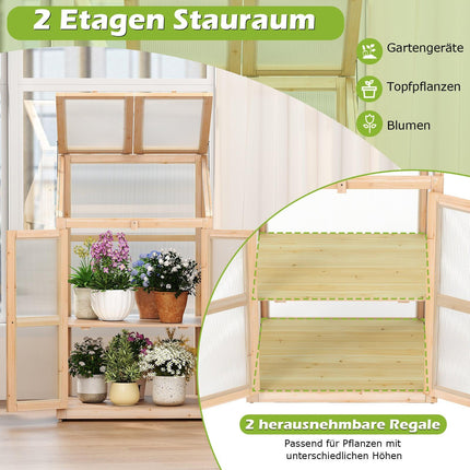 2-Tier Wooden Cold Frame Greenhouse with Doors, 69x58x121 cm