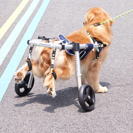 2-Wheel Dog Wheelchair for Hind Legs, 35–48 lb