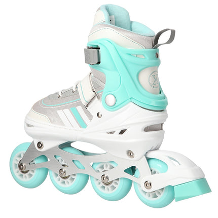 2-in-1 Inline & Ice Skates, White/Blue, Size L (39-43)