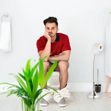2 pcs. toilet brushes