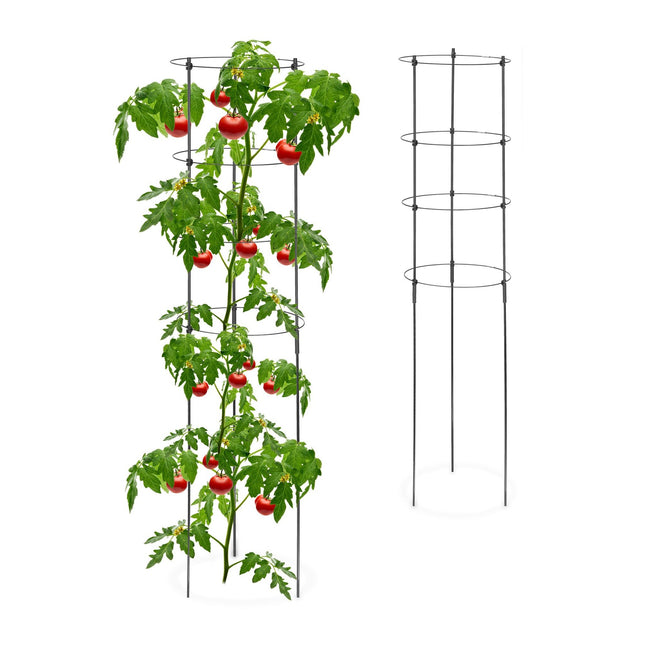2x Plant Supports with Rings, 120 cm