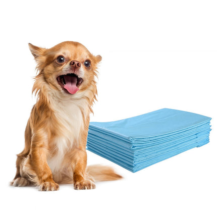 300 pieces dog training pads leak-proof 5-layer design 60 x 40 cm