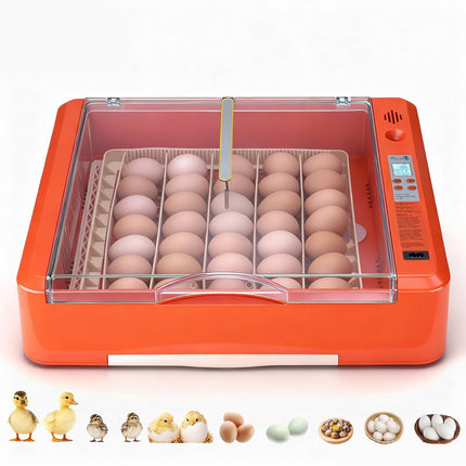 36-Egg Incubator With Auto Turner, Temp Humidity Control
