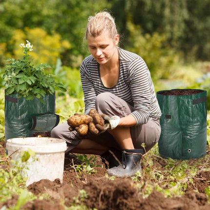 3x Potato Grow Bags