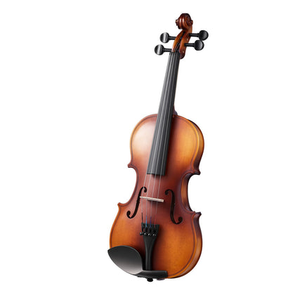 4/4 Full Size Violin Set With Hard Case, Bow, Tuner