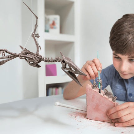 4M Craft Kit "Dig A Pteranodon Skeleton"