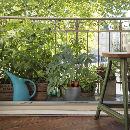 4 pot watering cans