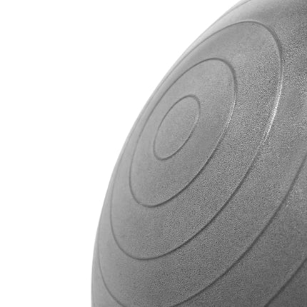 55cm Graphite Gym Ball – Anti-Burst Stability Ball