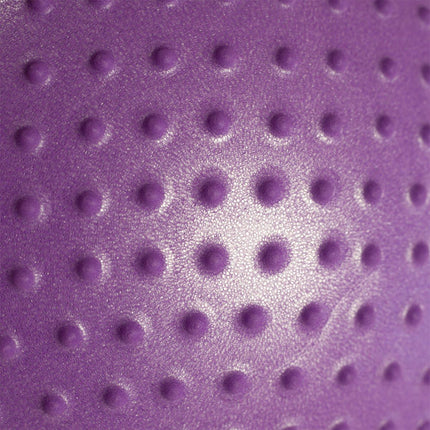55cm Violet Gym Ball for Exercise & Fitness
