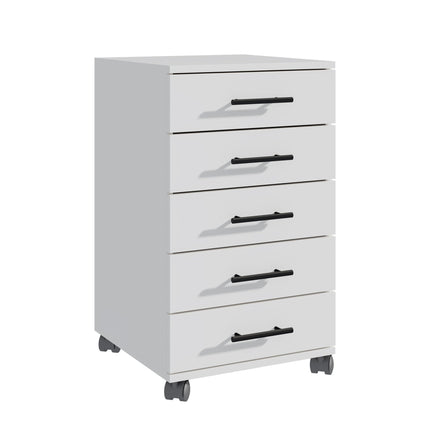 5-Drawer Rolling Office Cabinet with Wheels