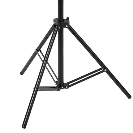 60 cm Multicoloured Prize Wheel with Stand