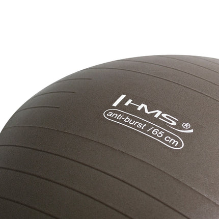65cm Anti-Burst Gym Ball for Exercise & Yoga