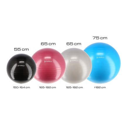 65cm Gray Gym Ball – Anti-Burst, Non-Slip