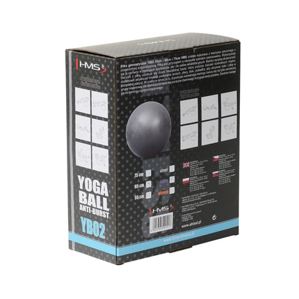 65cm Purple Gym Ball – Anti-Burst, Non-Slip