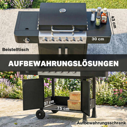 6-Burner Stainless Steel Gas Grill with Side Burner