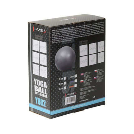 75cm Gray Gym Ball – Anti-Burst, Non-Slip