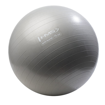 75cm Gray Gym Ball – Anti-Burst, Non-Slip