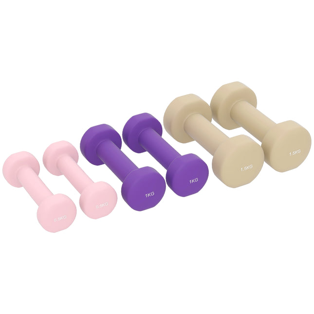 Adjustable Dumbbell Set with Case, 6 Pairs: 0.5kg to 1.5kg
