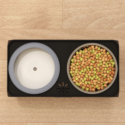 Adjustable Elevated Dog Bowl with 2 Stainless Steel Bowls
