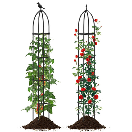Adjustable Metal Plant Support Obelisks, Set of 2