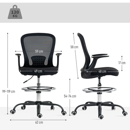 Adjustable Office Chair with Footrest, Lumbar Support, Black