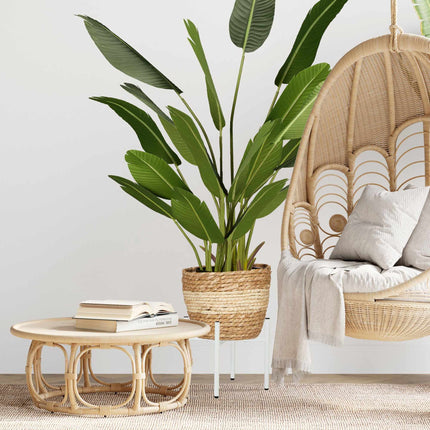 Adjustable plant stand Set of 2
