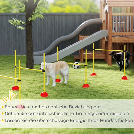 Dog Agility Equipment Set, 5-piece with adjustable obstacles