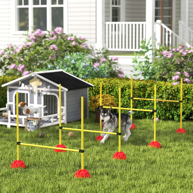 Dog Agility Equipment Set, 5-piece with adjustable obstacles