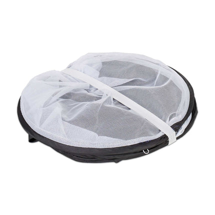 Air hood for food