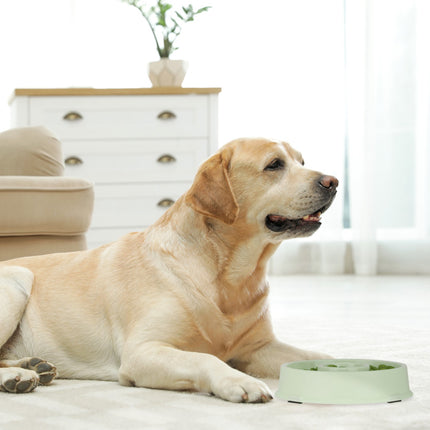 Anti-sling bowl 500 ml