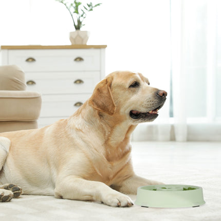 Anti-sling bowl 500 ml