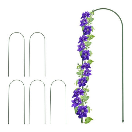 Arch Vine Support Set of 6
