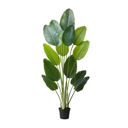 Artificial Bird of Paradise Tree 6ft, 13 Trunks, Pot