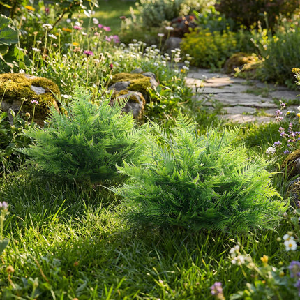 Artificial Boston Ferns, UV-Resistant, 2-Pack, 40x60 cm