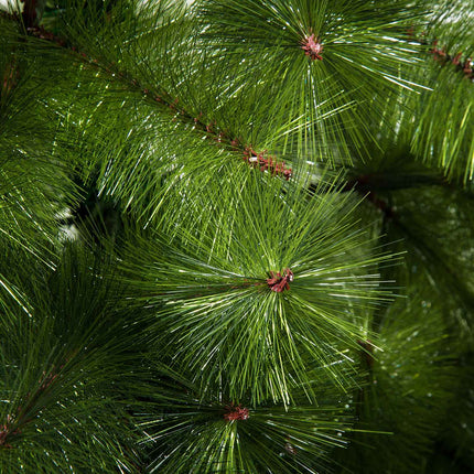 Artificial Christmas tree 2.1M, dense branches, easy installation