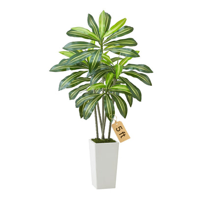 Artificial Dracaena Tree 5ft, White Tall Planter
