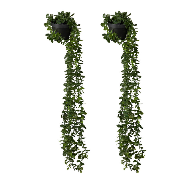 Kunstmatige hangende eucalyptusplanten, set van 2