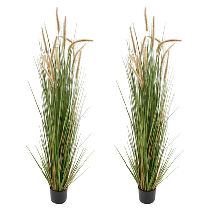 Artificial Horsetail Grass Plants, 2-Pack 5 Ft Potted