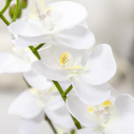 White orchid artificial plant in pot, 75cm - Indoor decor