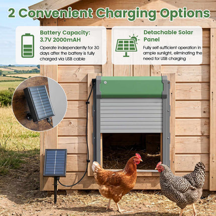 Automatic Chicken Coop Door with Remote & Solar Power