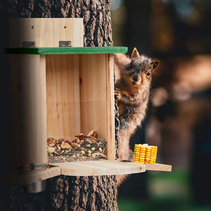 Automatic squirrel feeder with water trough