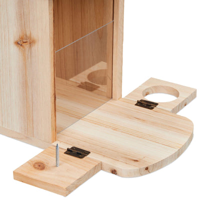 Automatic squirrel feeder with water trough