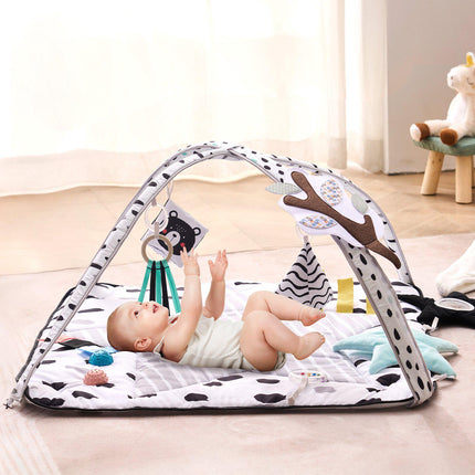 Baby Play Gym Mat, 6 Sensory Toys, 2 Touch Balls